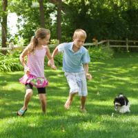 boy and girls playing with their dog in the lawn