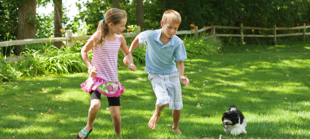 boy and girls playing with their dog in the lawn