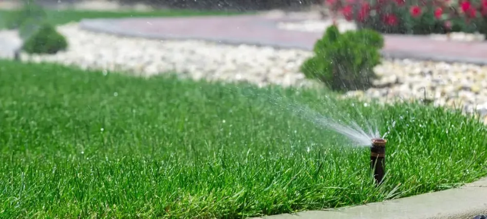 Lawn Irragation Green Grass