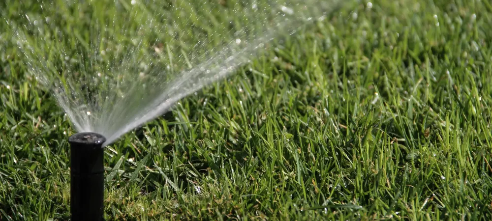What Sprinkler is Best For Your Yard in Allen Park